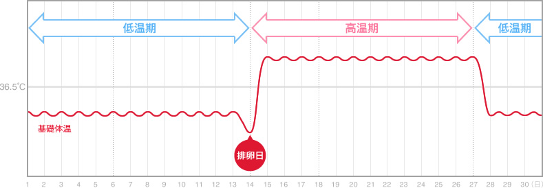 むくみ 排卵 日