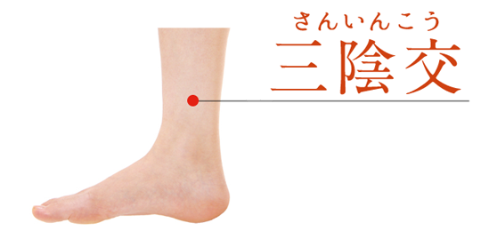 三陰交